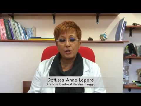 XVI° Convegno di Tossicologia Clinica – “Dalla Prevenzione al Trattamento delle Intossicazioni: Funzioni e Ruolo del Centro Antiveleni di Puglia”. Foggia – 19 e 20 novembre 2026.